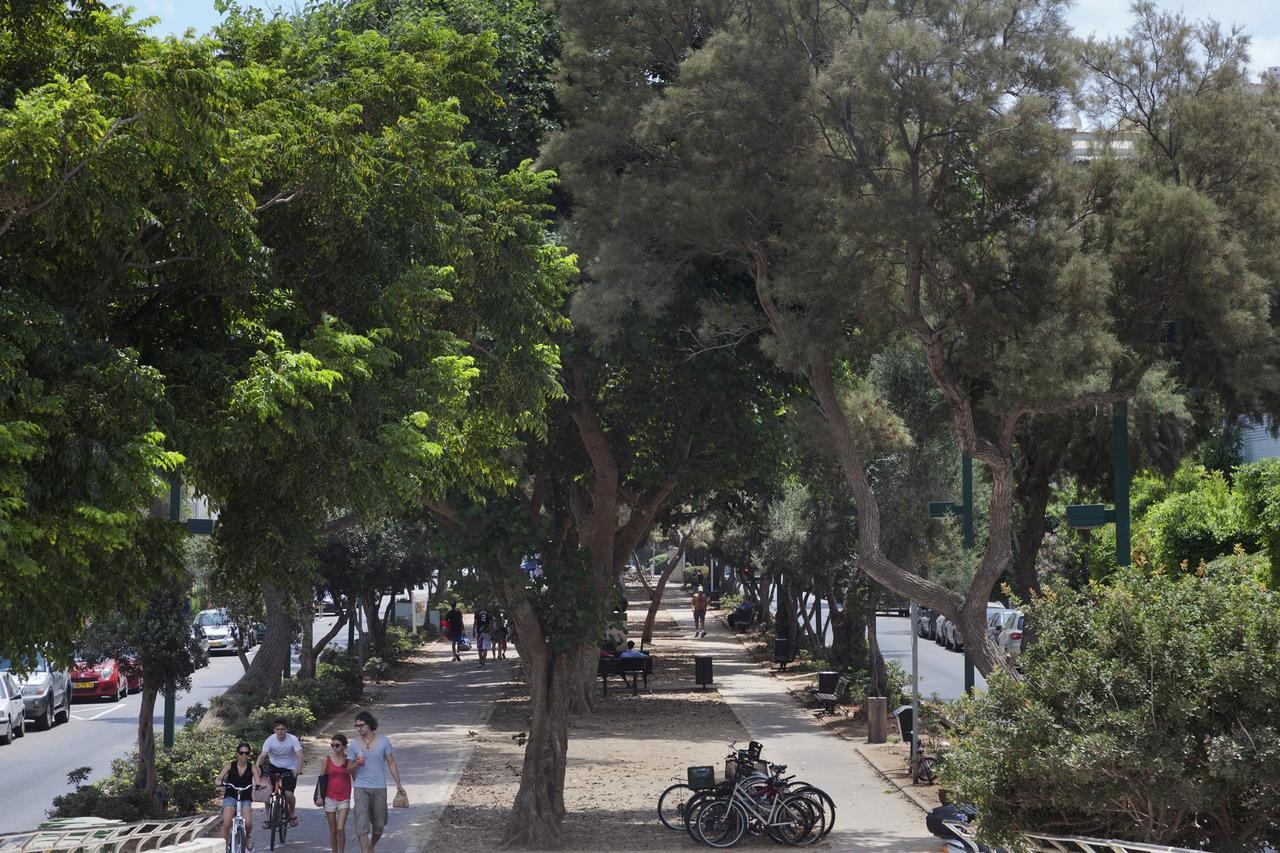 Tlv Living Apartment 特拉维夫 外观 照片