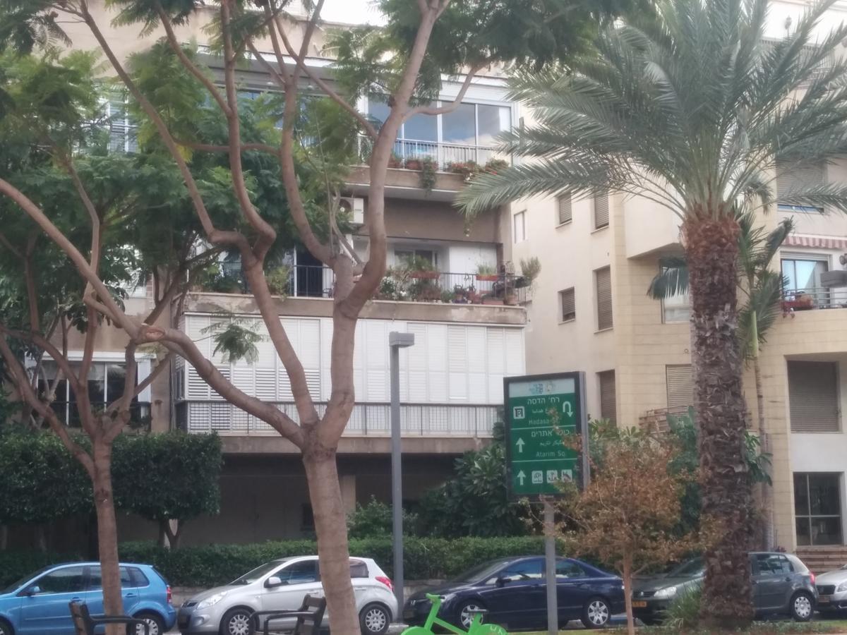Tlv Living Apartment 特拉维夫 外观 照片